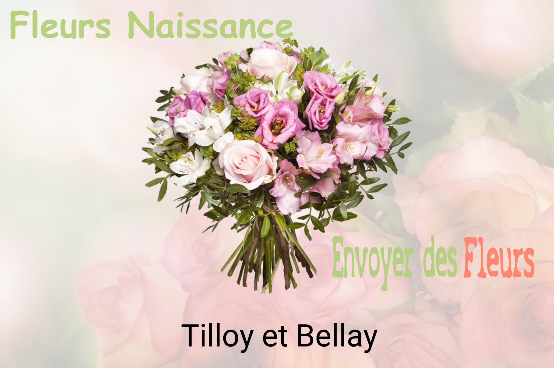 Bouquet de fleurs de naissance livré à Tilloy-et-Bellay