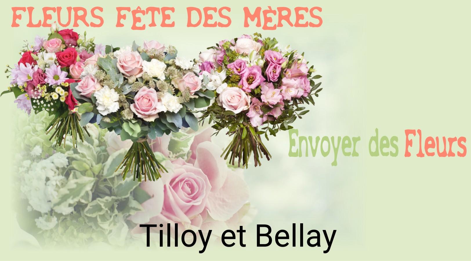 Bouquet de Fête des Mères livré à Tilloy-et-Bellay
